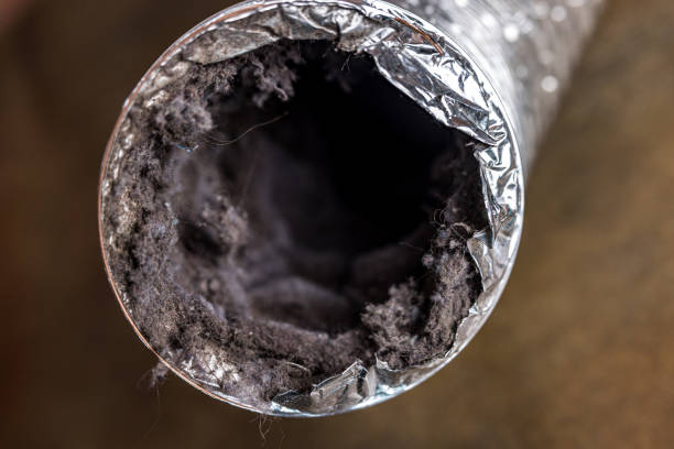 Best Air Duct Cleaning Near Me  in Comanche, TX